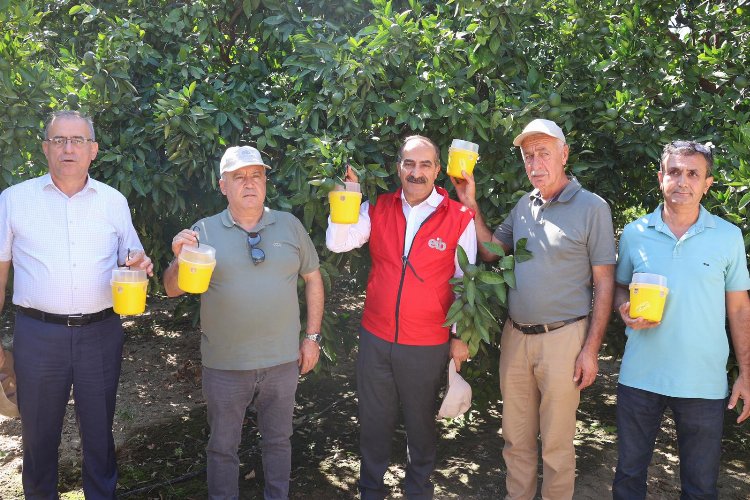 Aydınlı üreticilere Akdeniz Meyve Sineği Tuzağı dağıttı 1 Aydınlı üreticilere Akdeniz Meyve Sineği Tuzağı dağıttı 1