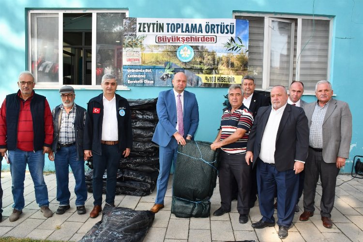 Manisa 30 bin zeytin toplama örtüsü dağıtıyor 1 Manisa 30 bin zeytin toplama örtüsü dağıtıyor 1