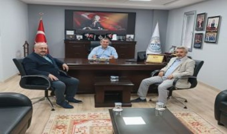 Coğrafi işaretli Milas zeytini 'Hasat Şenliği'nde taçlandı 1