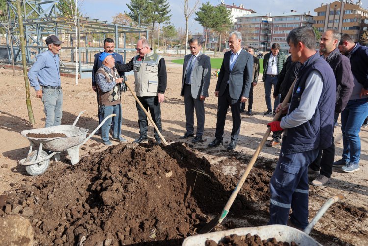 Sivas yeni millet bahçesi için gün sayıyor 11