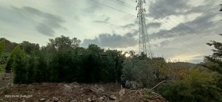 Bodrum'da kaçak inşaatı ağaç dallarıyla gizlemeye çalıştılar 1